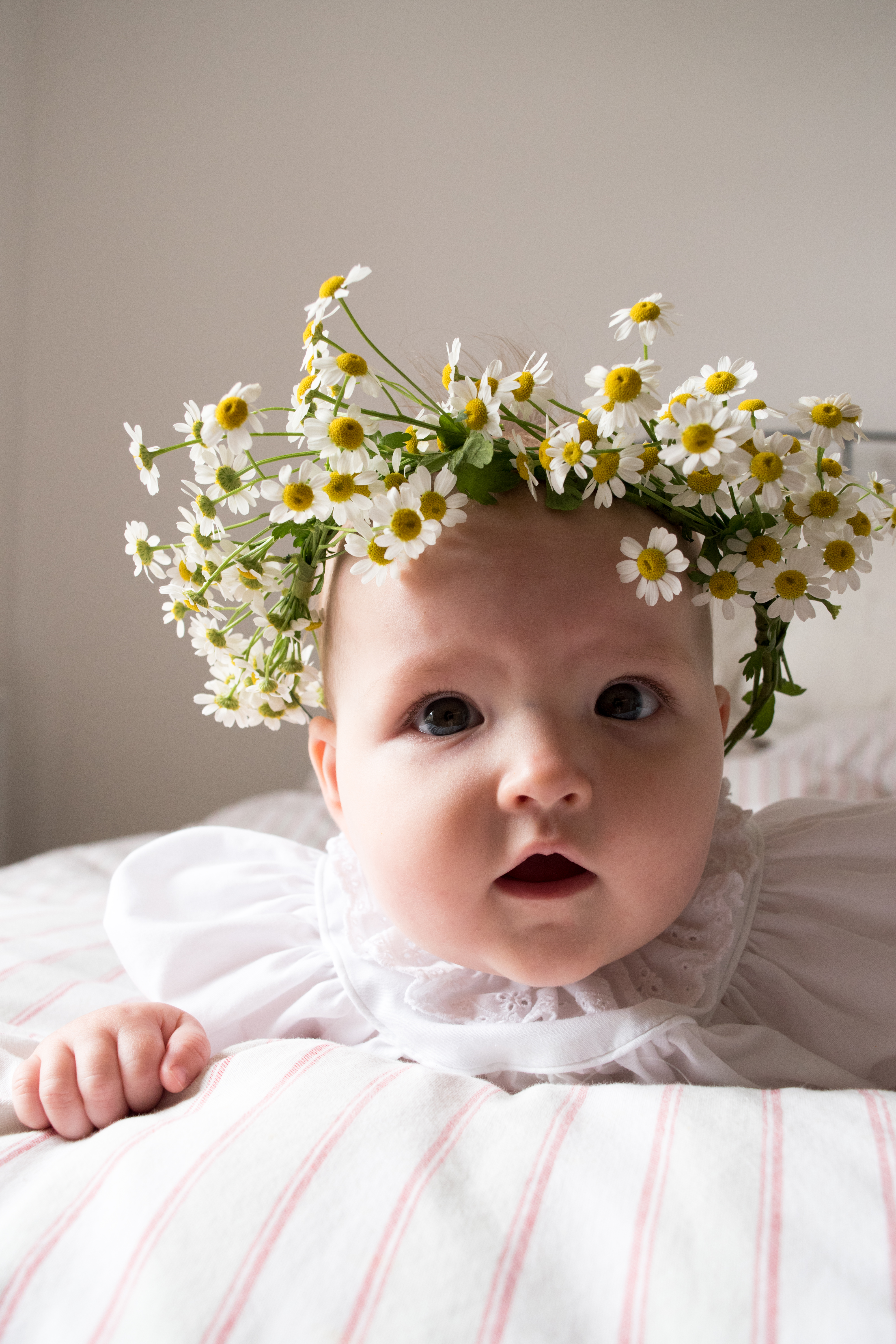 baby flower crown